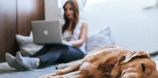 How Owning A Pet Can Help with Your Anxiety