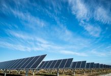 Why You Should Invest in Solar Panels