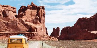 Reasons to Go on A Road Trip This Summer