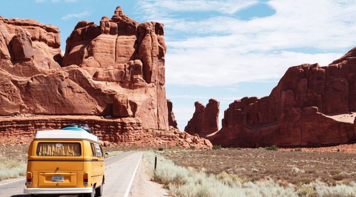 Reasons to Go on A Road Trip This Summer