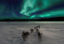 The Best Places to Travel to During Winter