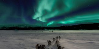 The Best Places to Travel to During Winter