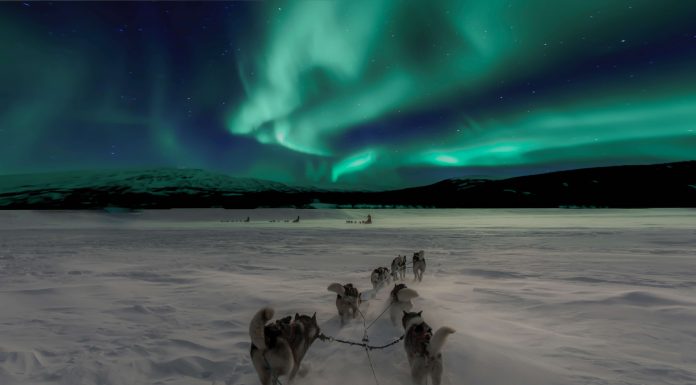 The Best Places to Travel to During Winter