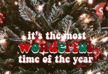 Top Places to Visit for Your Christmas Vacation