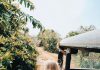 How to Travel Like a Local
