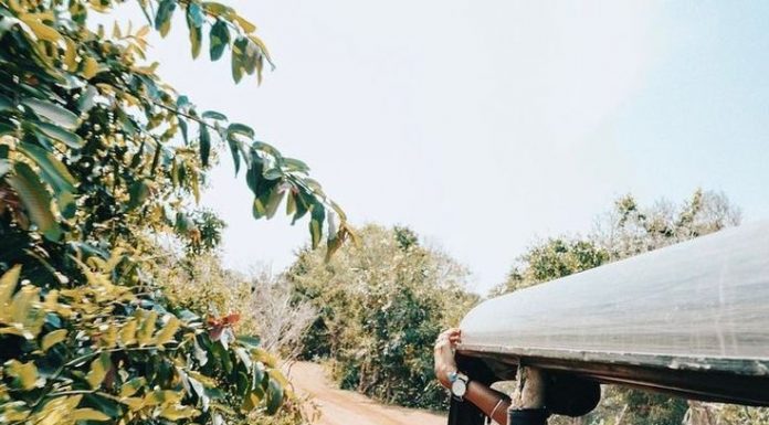 How to Travel Like a Local