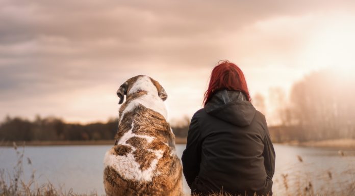 Dog People Live Longer. Here Are the Top Reasons Why