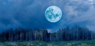 Simple Tips To Improve Your Sleep Quality