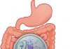 Signs that You Have an Unhealthy Gut and How to Improve It