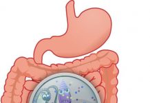 Signs that You Have an Unhealthy Gut and How to Improve It