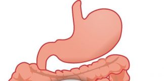 Signs that You Have an Unhealthy Gut and How to Improve It