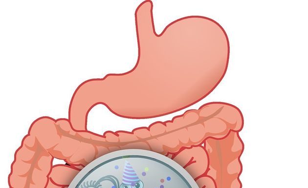 Signs that You Have an Unhealthy Gut and How to Improve It