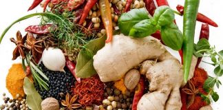 Ways to Boost Your Immune System