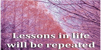 Life Lessons We Should Live For