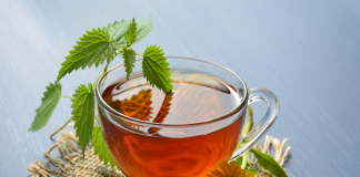 Why Drinking Tea is Beneficial to Our Health